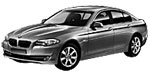 BMW F10 P383B Fault Code